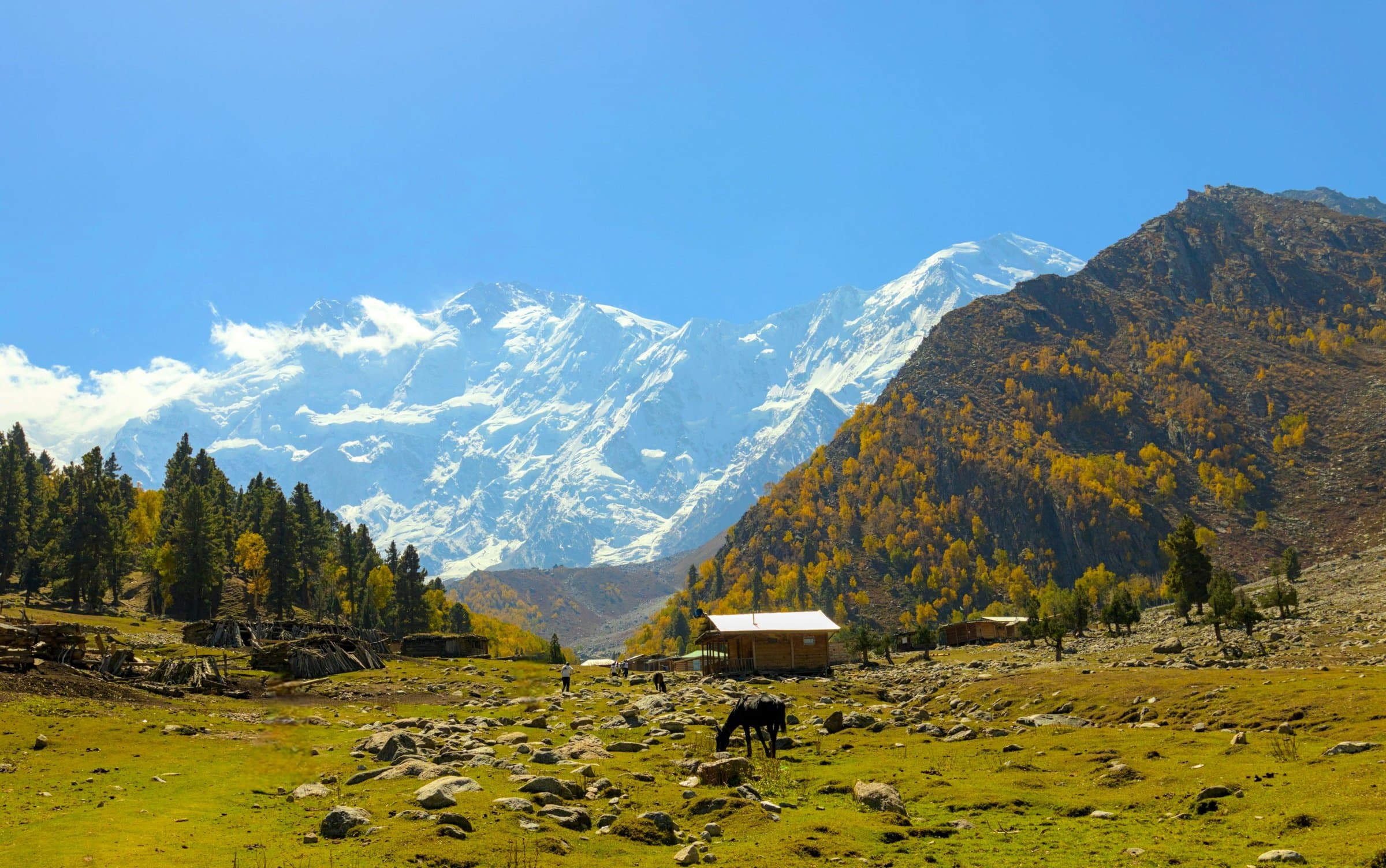 Fairy Meadows — photo 1